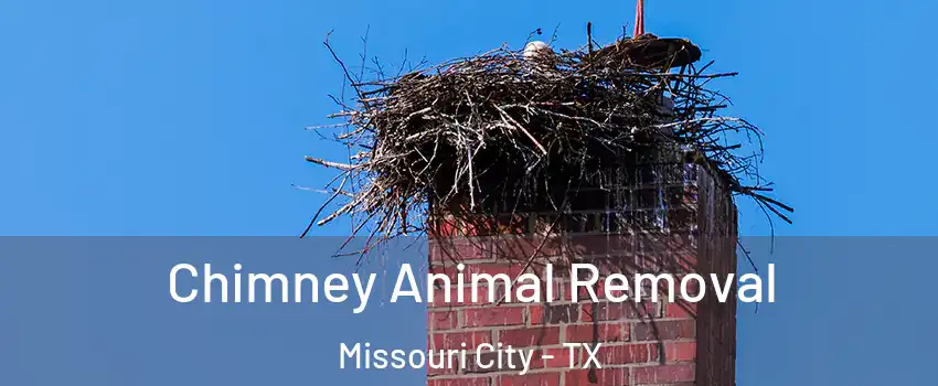  Chimney Animal Removal Missouri City - TX