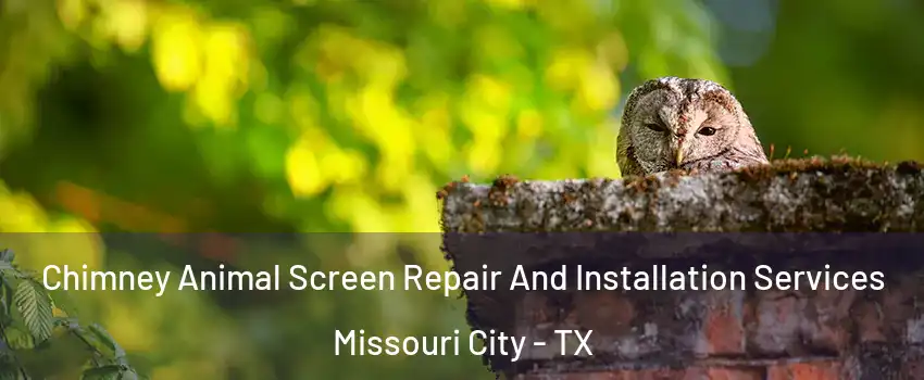  Chimney Animal Screen Repair And Installation Services Missouri City - TX