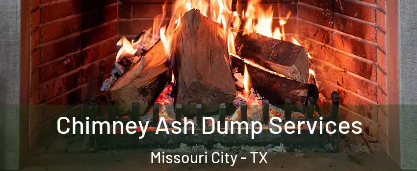  Chimney Ash Dump Services Missouri City - TX