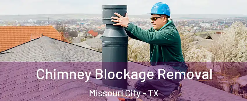  Chimney Blockage Removal Missouri City - TX