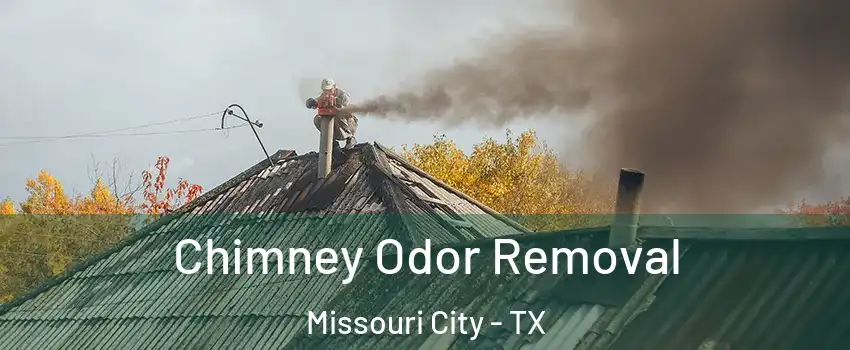  Chimney Odor Removal Missouri City - TX