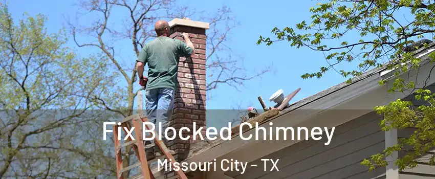  Fix Blocked Chimney Missouri City - TX