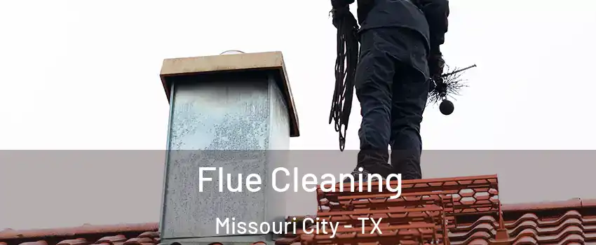  Flue Cleaning Missouri City - TX