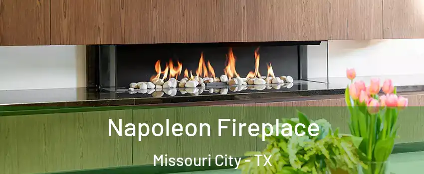  Napoleon Fireplace Missouri City - TX