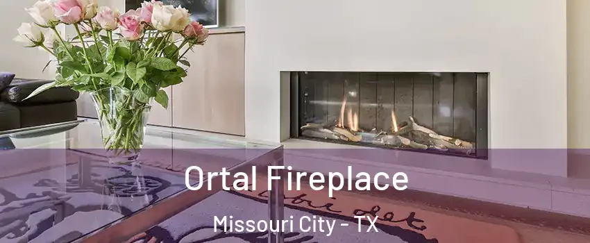  Ortal Fireplace Missouri City - TX